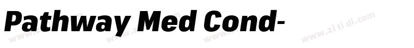 Pathway Med Cond字体转换 Pathway Med Cond字体转换